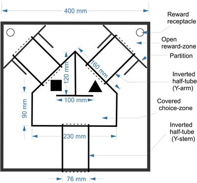 A Novel Method for Training Mice in Visuo-Tactile 3-D Object Discrimination and Recognition